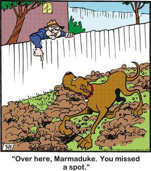 marmaduke